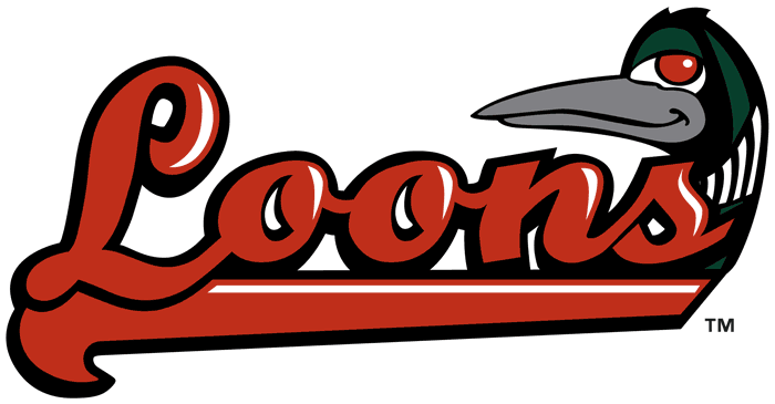 Great Lakes Loons 2007-pres wordmark logo iron on heat transfer